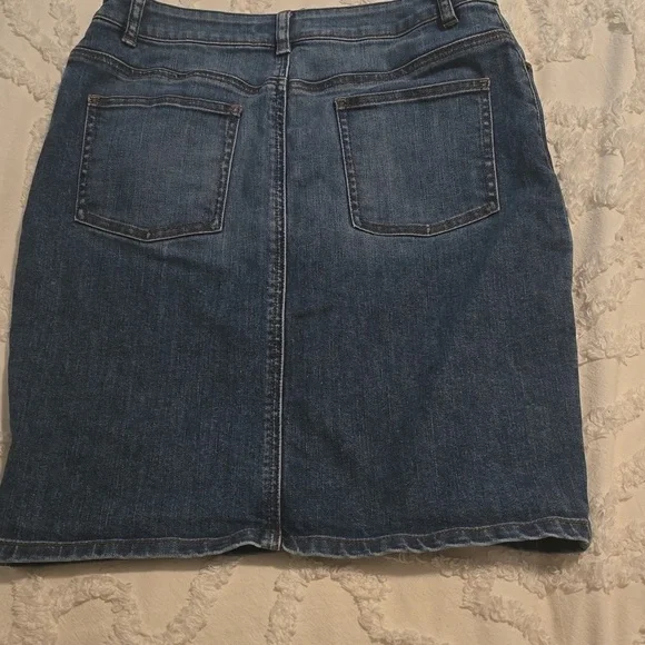 The Limited Denim Skirt EUC (#16) - Picture 2 of 5